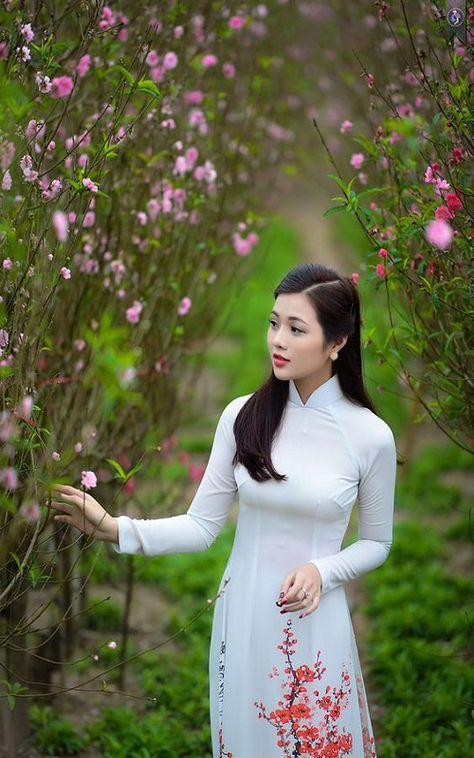 斗罗大陆动漫在线播放免费观看全集
